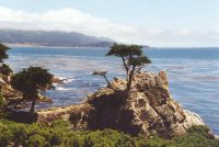 Romantic Carmel Coastline